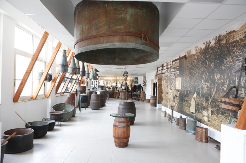 Museo del Bergamotto